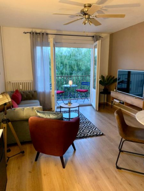 Bel Appartement rénové en centre ville